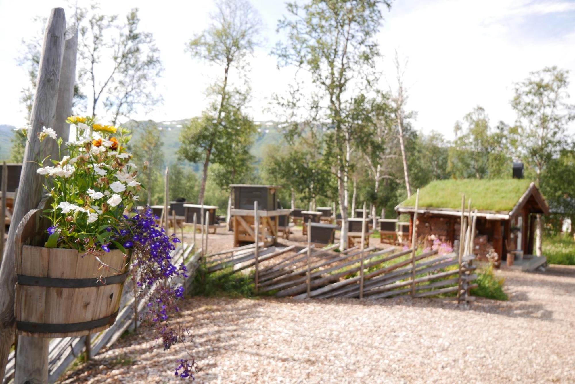 Bardu Huskylodge Exterior photo