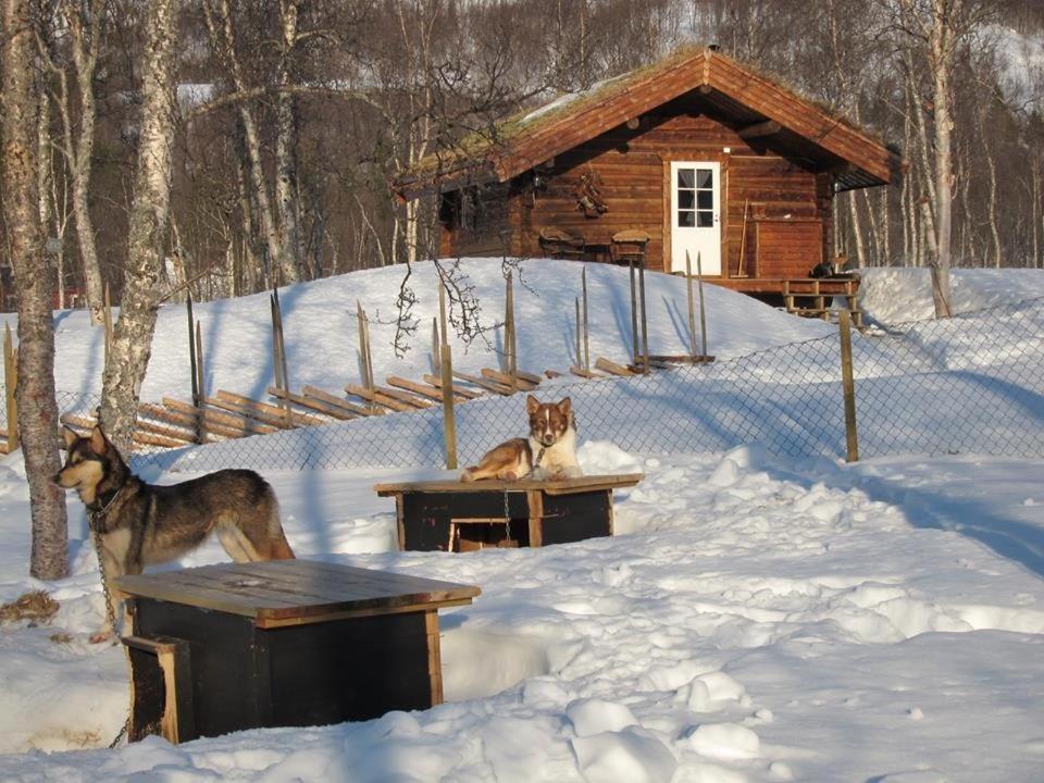 Bardu Huskylodge Exterior photo