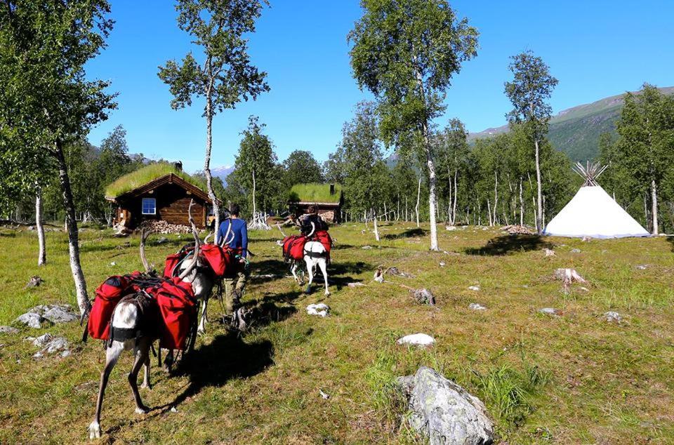 Bardu Huskylodge Exterior photo